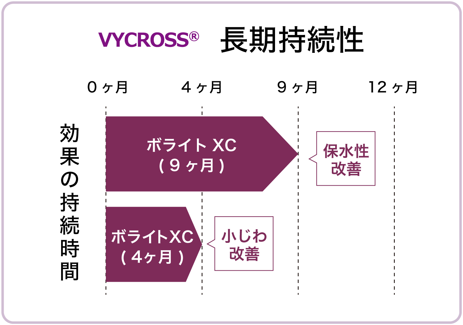 ❶長期持続性