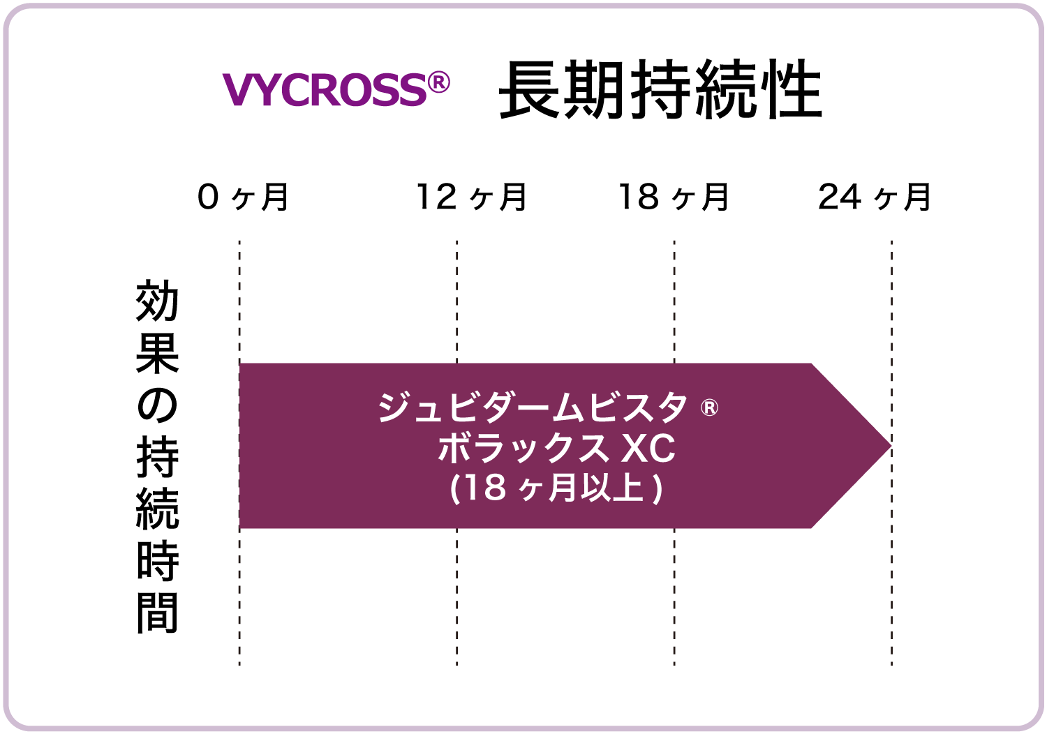? 長期持続性