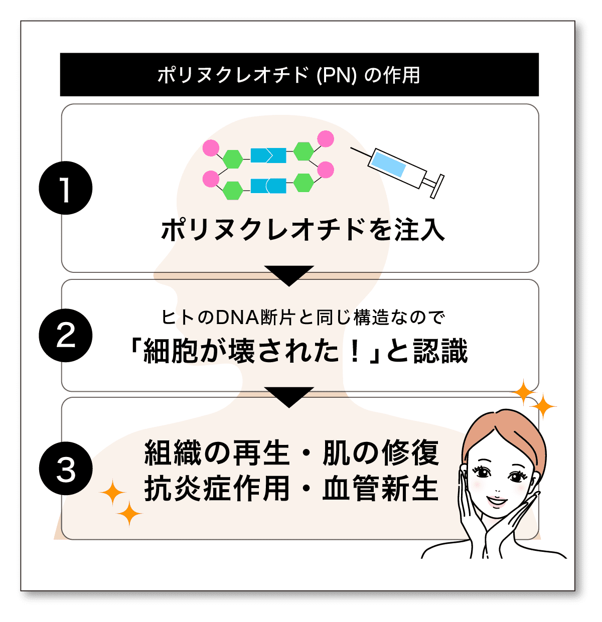 主成分「ポリヌクレオチド(PN)」とは